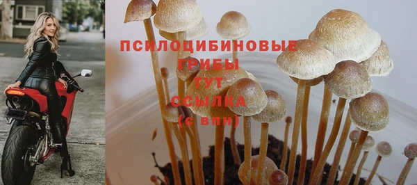 прущая мука Баксан
