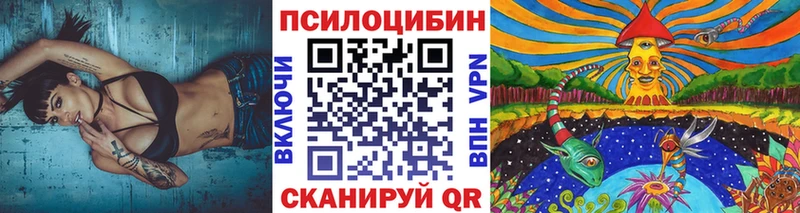 Галлюциногенные грибы мицелий  Пошехонье 